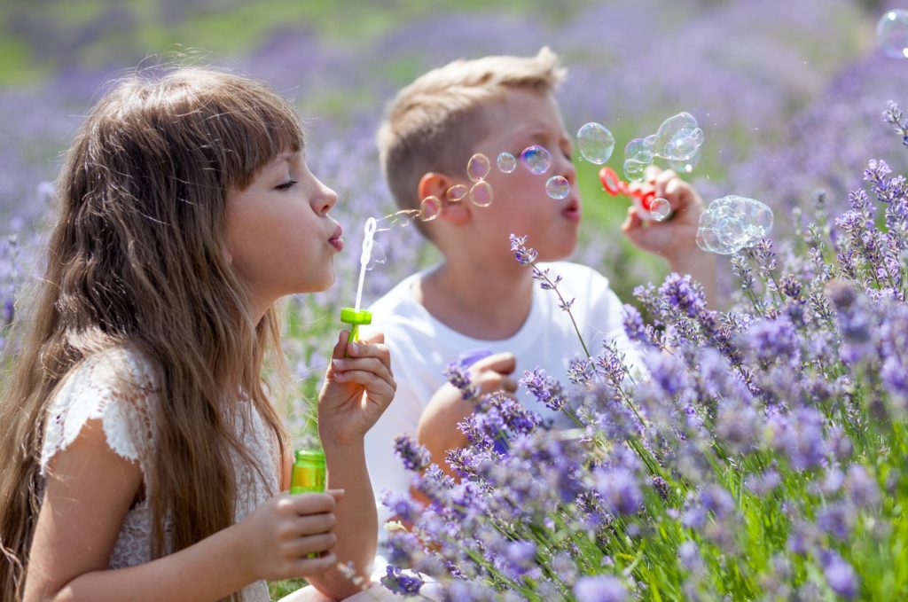 Two kids having fun blowing soap bubbles in lavender field at sunny day